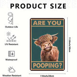 ARE YOU POOPING? - Highland Cow - UV Printed Metal Sign - 20cm by 30cm